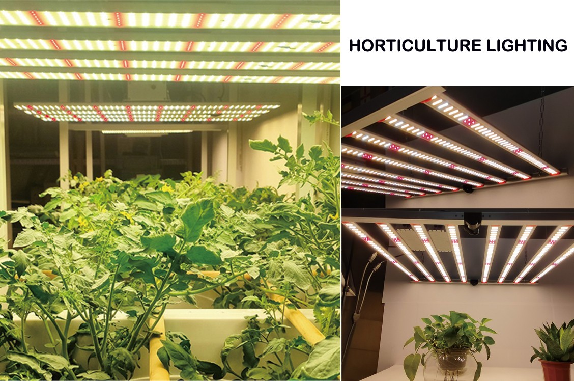 Foldable Grow Light