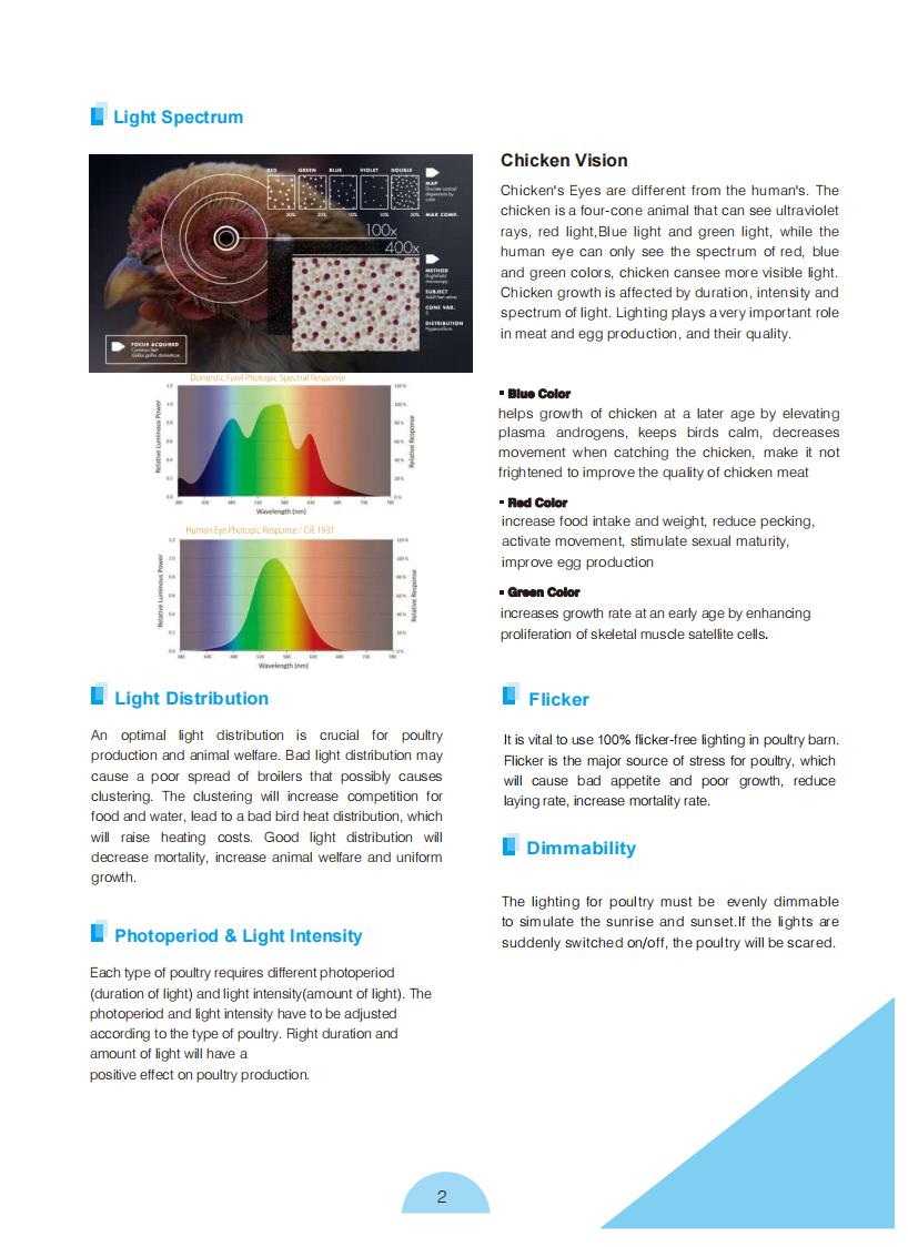 Product Catalog_01.jpg