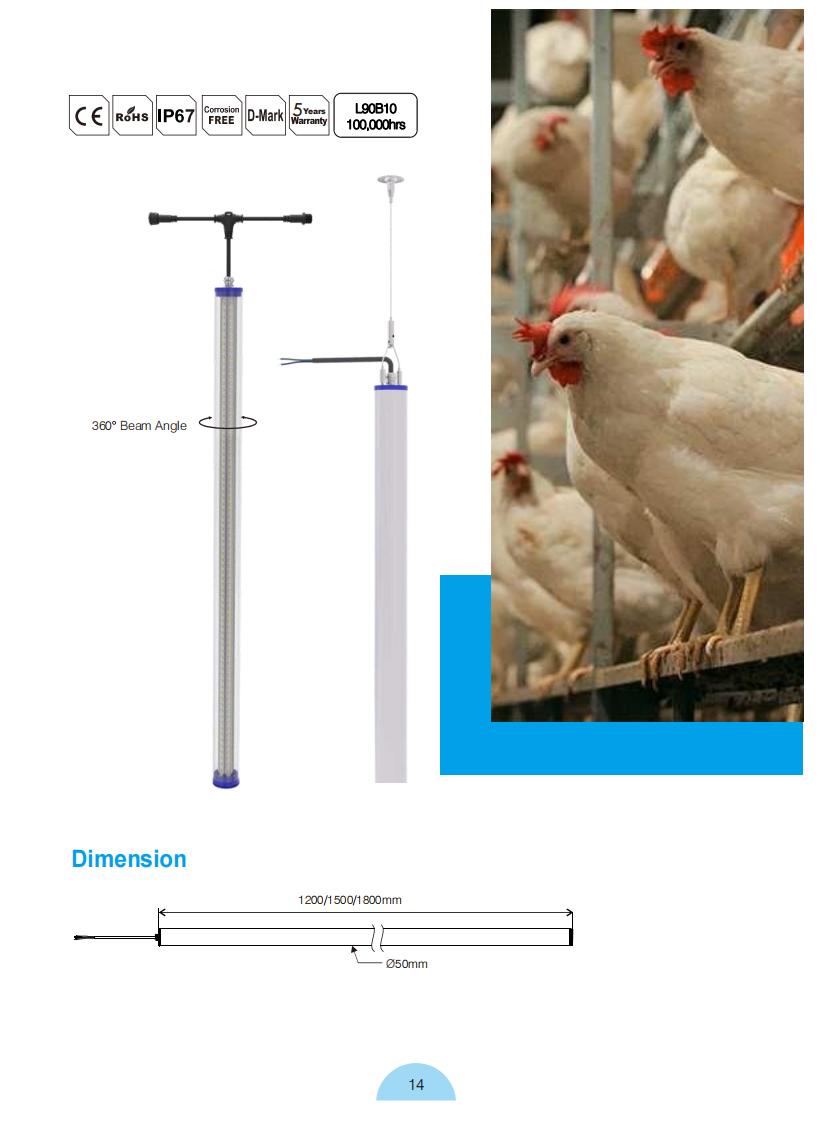 Product Catalog_13.jpg