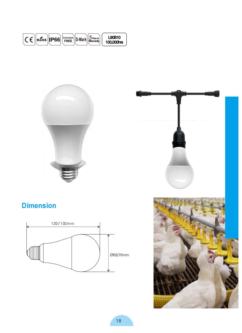 Product Catalog_17.jpg