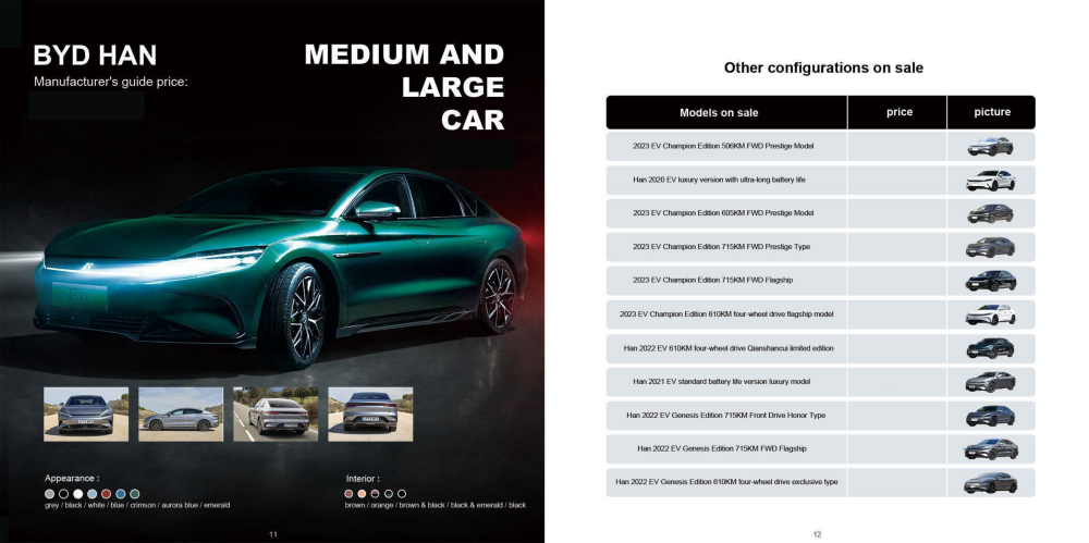 BRABUS-NEV Vehicle Co., Ltd. - 副本_06.png